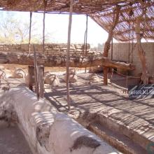 Imagen del monumento Lagar de Matilla